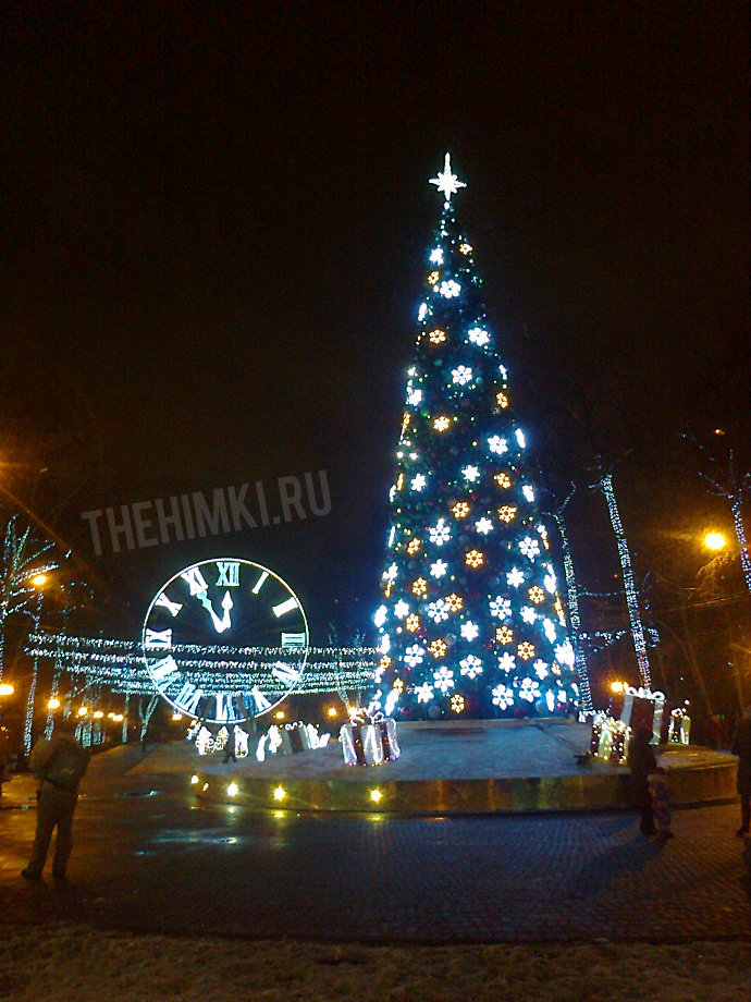 Самую высокую елку поставили в парке имени Л.Н. Толстого