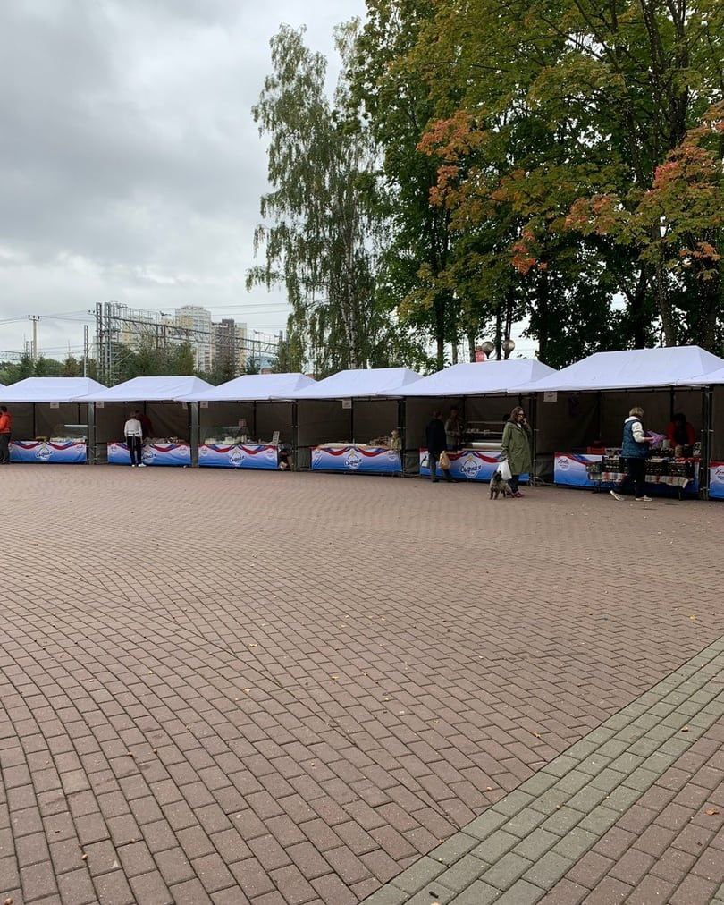 В парке Толстого открылся сырный фестиваль